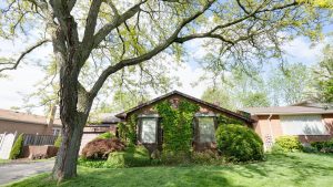 51 Hammond Crescent - A lovely Stoneybrook family home